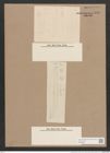 Pleurosigma simile Grun. (de-Toni-Nr.: Genus 13, Species 1068) Zeichnungen Sammlung Grunow Nr. 1927 (NHMW-BOT-W0369057)